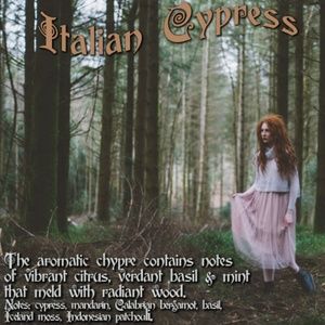 ITALIAN CYPRESS Scented Fragrance Body Oil